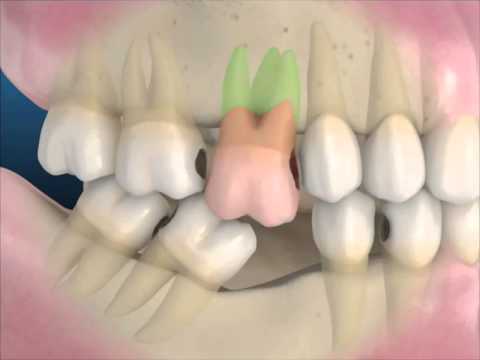 dental clinic